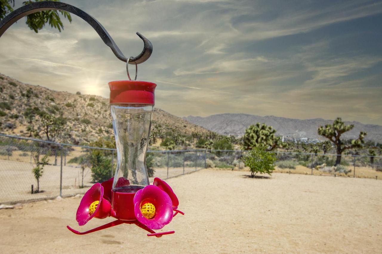 Peaceful Home With Nature Views & Trail Access Yucca Valley Exterior photo