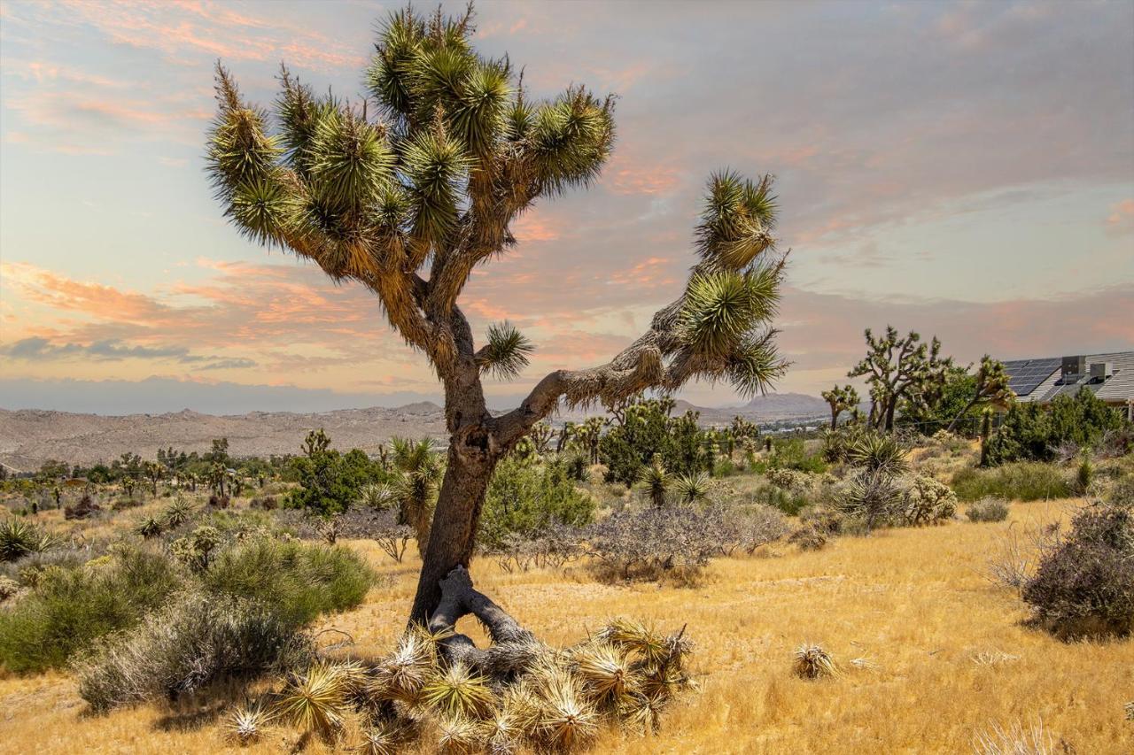 Peaceful Home With Nature Views & Trail Access Yucca Valley Exterior photo